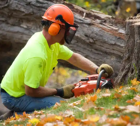 tree services Florham Park